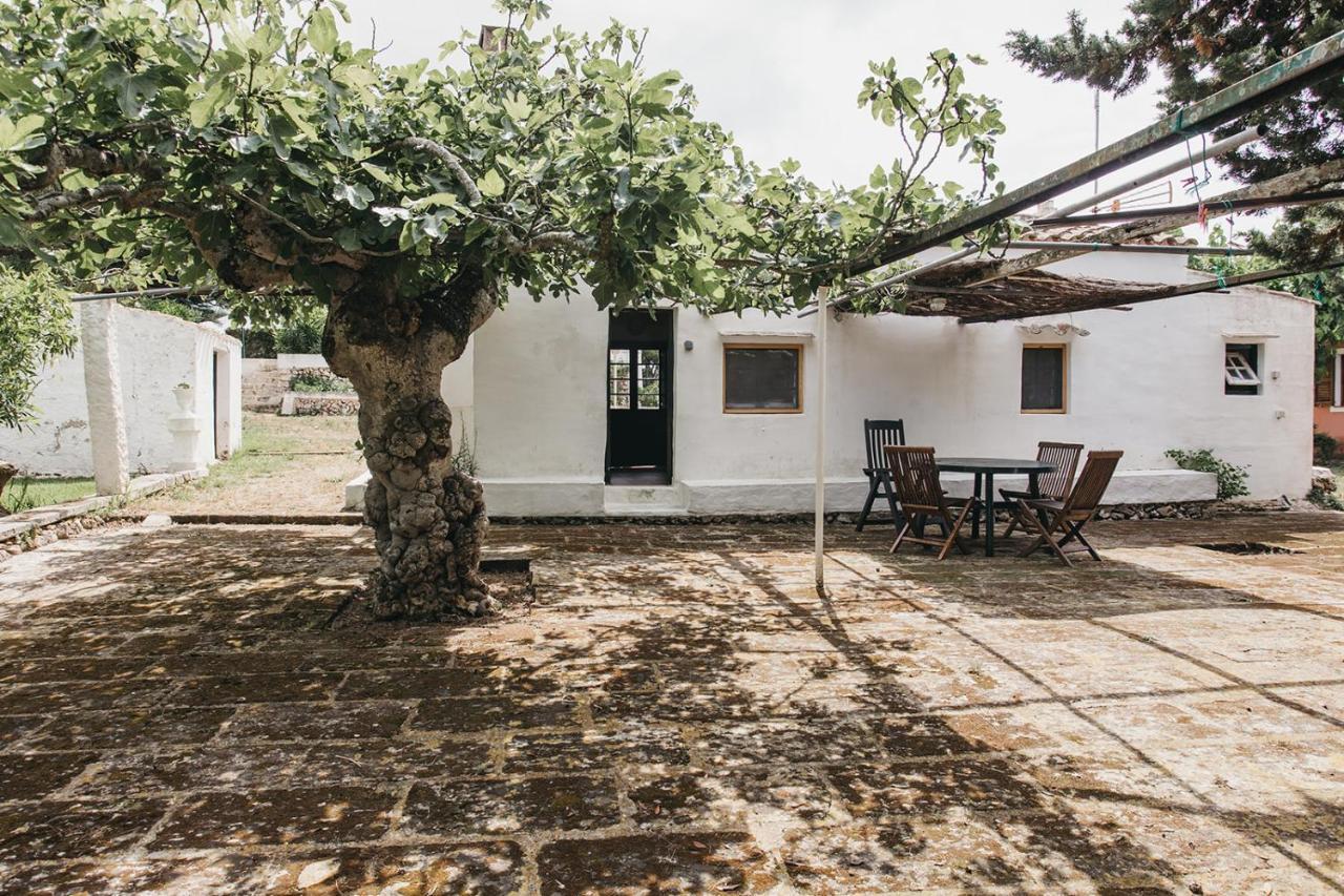 Agroturismo Son Triay Ferreries Bagian luar foto